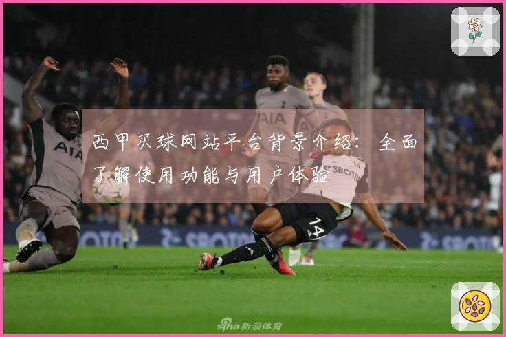 西甲买球网站平台背景介绍：全面了解使用功能与用户体验