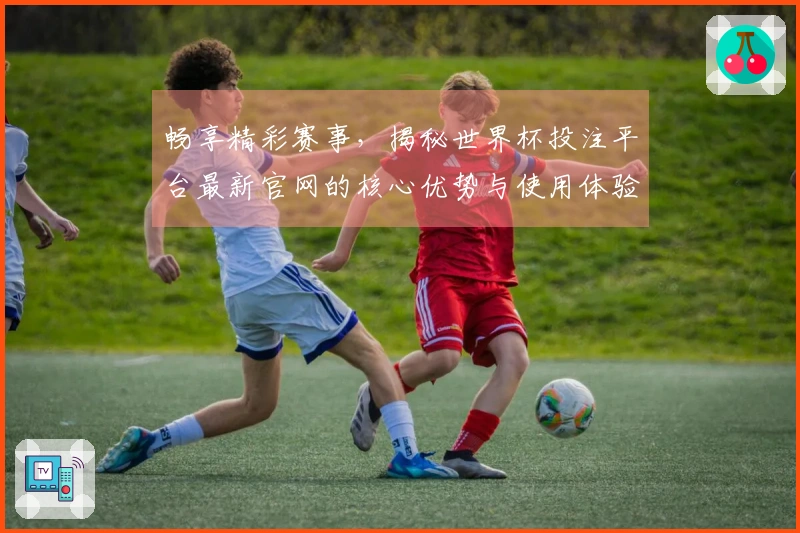 畅享精彩赛事，揭秘世界杯投注平台最新官网的核心优势与使用体验