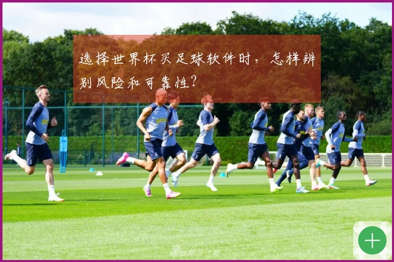 选择世界杯买足球软件时，怎样辨别风险和可靠性？