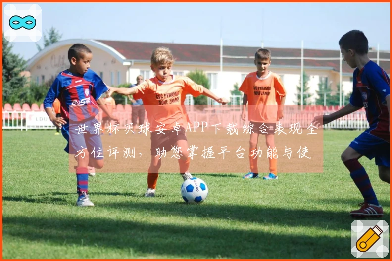 世界杯买球安卓APP下载综合表现全方位评测，助您掌握平台功能与使用技巧