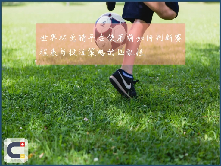 世界杯竞猜平台使用前如何判断赛程表与投注策略的匹配性
