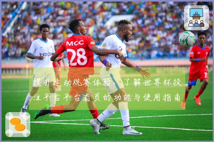 提升运动观赛体验，了解世界杯投注平台平台首页的功能与使用指南