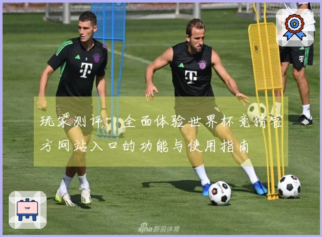 玩家测评:全面体验世界杯竞猜官方网站入口的功能与使用指南