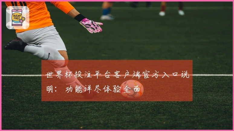 世界杯投注平台客户端官方入口说明：功能详尽体验全面