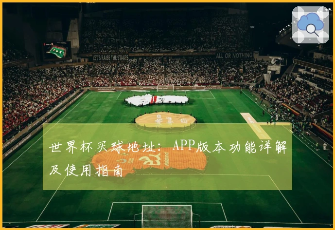 世界杯买球地址：APP版本功能详解及使用指南