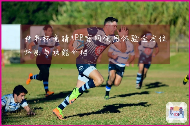 世界杯竞猜APP官网使用体验全方位评测与功能介绍