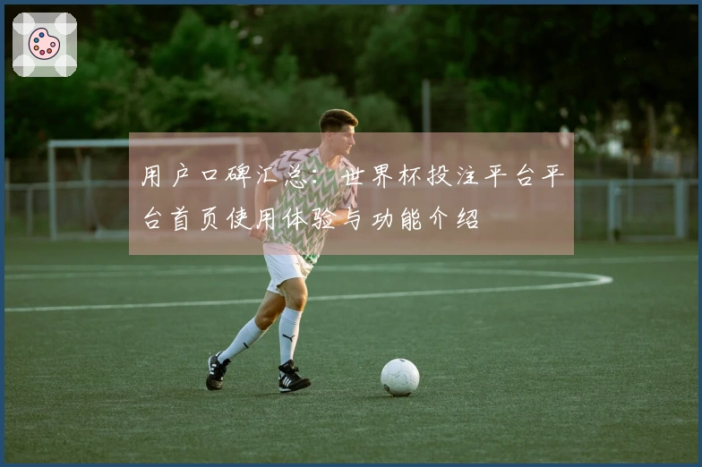 用户口碑汇总：世界杯投注平台平台首页使用体验与功能介绍